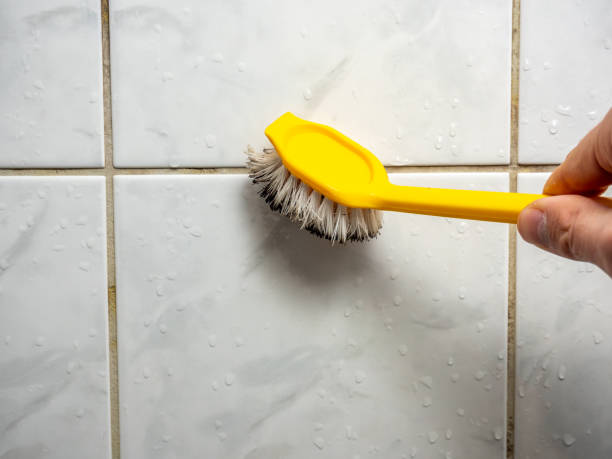 Best Residential Mold Removal  in Greensburg, KY
