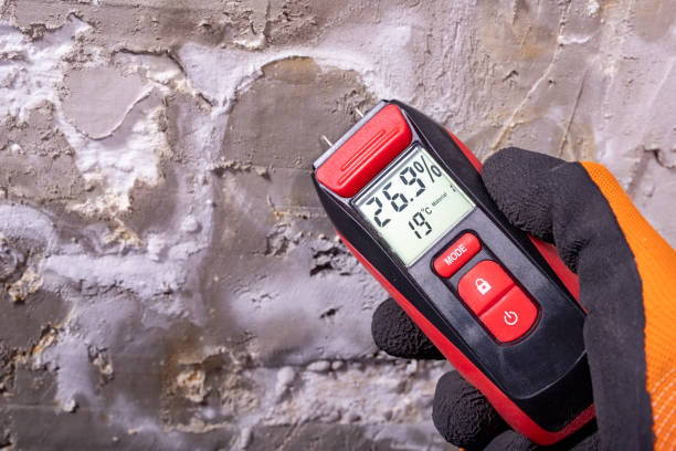 Best Affordable Mold Removal  in Greensburg, KY