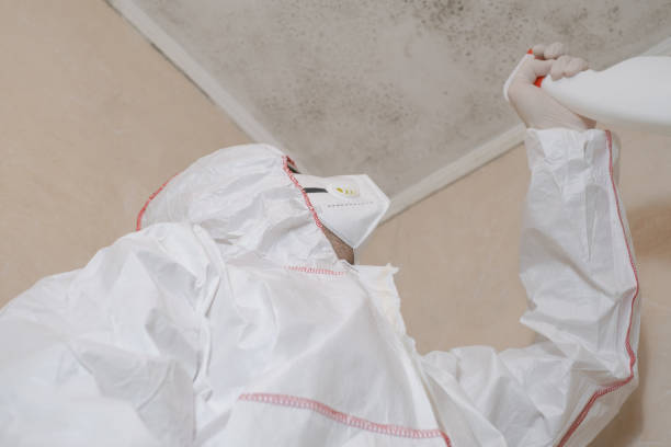 Best Toxic Mold Removal  in Greensburg, KY